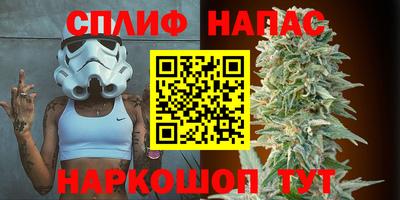 стаф Владимир