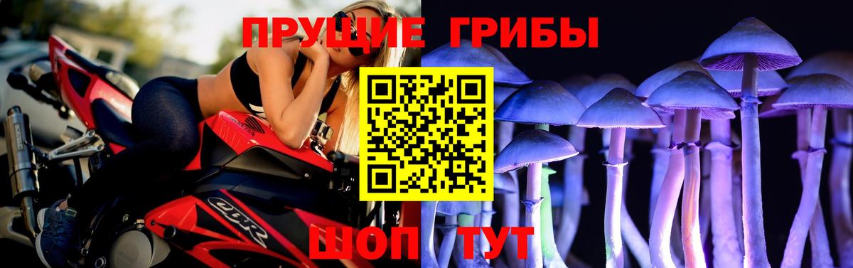 Псилоцибиновые грибы Cubensis Асбест